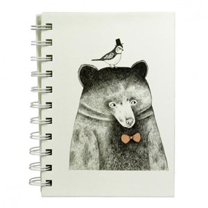 Picture of Kołonotes A6/80K