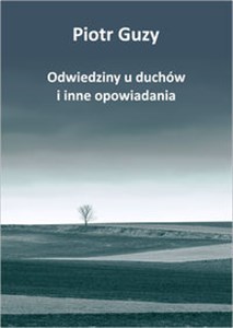 Obrazek Odwiedziny u duchów i inne opowiadania