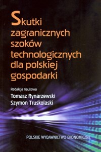 Obrazek Skutki zagranicznych szoków technologicznych dla polskiej gospodarki