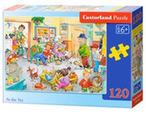 Picture of Puzzle At the Vet 120