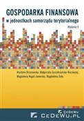 Gospodarka... - Brzozowska Krystyna, Gorzałczyńska-Koczkodaj Małg -  books in polish 