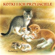 polish book : Kotki i ic... - Opracowanie Zbiorowe