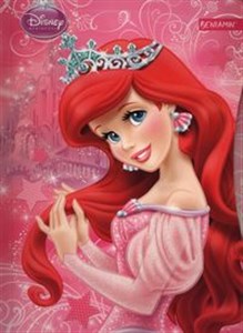 Obrazek Teczka z gumką A4 Księżniczki