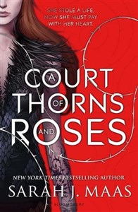 Obrazek A Court of Thorns and Roses