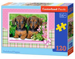 Obrazek Puzzle Dachshund Puppies 120