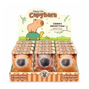 polish book : Gniotek Ka...