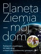 Planeta Zi... - Derek Sankey -  Polish Bookstore 