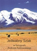 Jedwabny S... - Andrzej Kotnowski -  foreign books in polish 