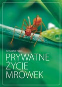 Prywatne ż... - Krzysztof Pabis -  foreign books in polish 