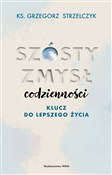 Szósty zmy... - Grzegorz Strzelczyk -  books in polish 