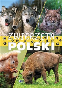 Obrazek Zwierzęta Polski