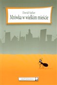 polish book : Mrówka w w... - David Safier