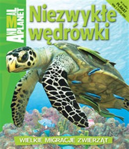 Obrazek Niezwykłe wędrówki