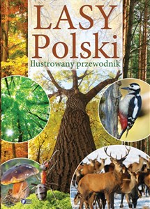 Obrazek Lasy Polski Ilustrowany przewodnik