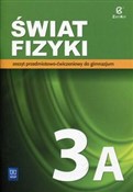 Książka : Świat fizy... - Maria Rozenbajgier, Ryszard Rozenbajgier, Małgorzata Godlewska, Danuta Szot-Gawlik