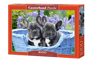 Picture of Puzzle French Bulldog Puppies 1000 C-104246