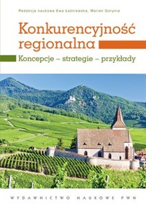 Picture of Konkurencyjność regionalna Koncepcje strategie przykłady