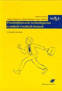 Obrazek Przedsiębiorczość technologiczna w małych i średnich firmach Czynniki rozwoju