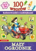 Książka : 100 wzorów... - Opracowanie Zbiorowe