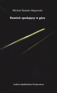 Picture of Kamień spadający w górę