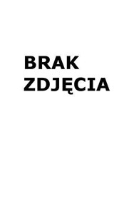 Obrazek Teczka z przegródkami A4