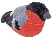 Zobacz : Maskotka G...