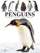 Zobacz : Penguins - Tom Jackson