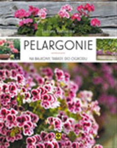 Obrazek Pelargonie na balkony, tarasy, do ogrodu