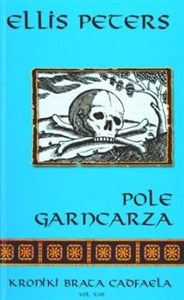 Obrazek Pole garncarza