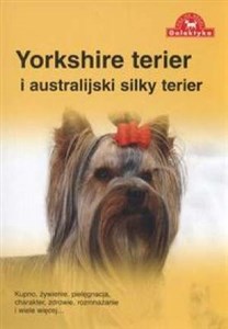 Picture of Yorkshire terier i australijski silky terier