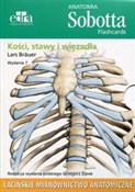 Anatomia S... - Lars Brauer -  books from Poland