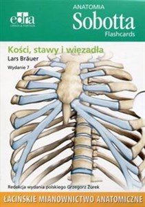 Obrazek Anatomia Sobotta Flashcards Kości stawy i więzadła Łacińskie mianownictwo anatomiczne