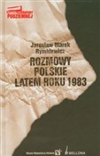 Rozmowy po... - Jarosław Marek Rymkiewicz -  books from Poland