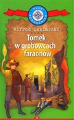 Polska książka : Tomek w gr... - Alfred Szklarski