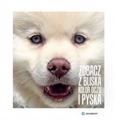 polish book : Zobacz z b... - Kasia Jacobson