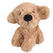 polish book : Pies plusz...