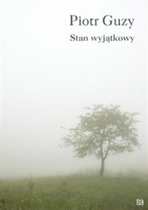 Picture of Stan wyjątkowy