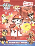 Nowy przyj... - Opracowanie zbiorowe -  books from Poland