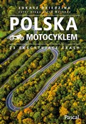 polish book : Polska mot... - Łukasz Dziedzina