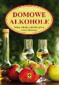 Domowe alk... - Scott Mansfield -  foreign books in polish 