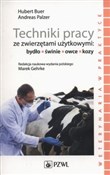 polish book : Techniki p... - Hubert Buer, Andreas Palzer