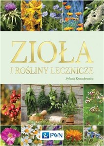 Picture of Zioła i rośliny lecznicze