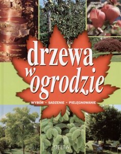 Picture of Drzewa w ogrodzie