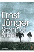 Książka : Storm of S... - Ernst Junger
