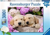 polish book : Puzzle 2D ...