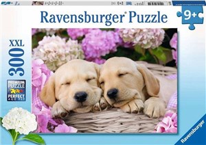 Picture of Puzzle 2D 300 Pieski XXL 13235
