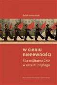W cieniu n... - Rafał Kwieciński -  books from Poland