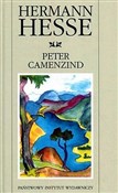 Polska książka : Peter Came... - Hermann Hesse