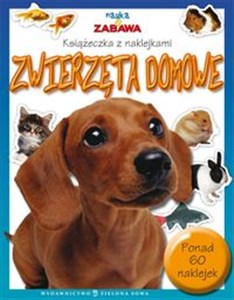Picture of Nauka i zabawa Zwierzęta domowe Książeczka z naklejkami