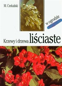 Obrazek Krzewy i drzewa liściaste w ogrodzie